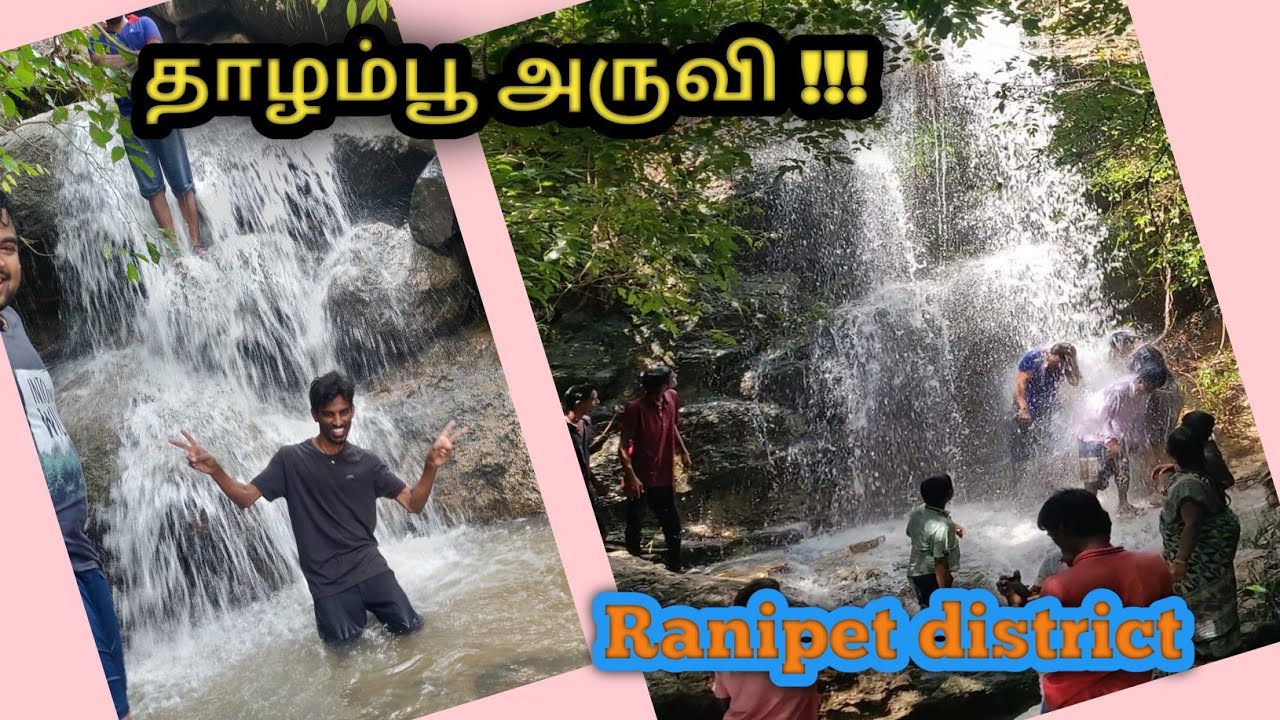Ranipet falls | Thaazhambu aruvi தாழம்பூ அருவி ❤️? near Walaja road Ammoor | velam | falls