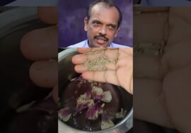 செம்பருத்தி டீ நன்மைகள் – Sembaruthi Tea