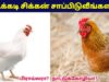 சிக்கன் சாப்பிட வேண்டாம் | Broiler Chicken vs Country Chicken Health Benefits