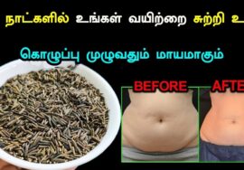 வயிற்று கொழுப்பை கரைக்கும் தோசை மாவு | Weight loss dosai mix | Belly fat burning food