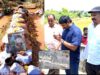 🔴நேரலை 18-10-2025 | வனக்காவலன் ஐயா வீரப்பனார் நினைவிடம் | சீமான் | மேட்டூர்